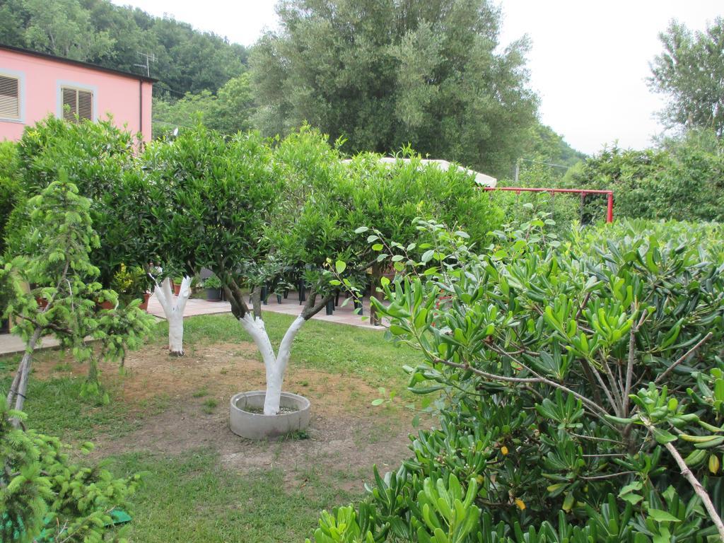 Palinuro Casa Vacanze "Donna Antonia" Bagian luar foto